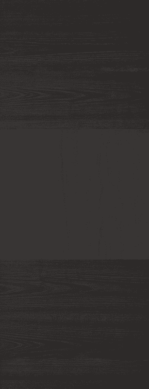 Black - Tres Style Prefinished Fire Door