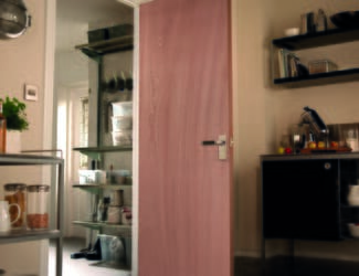 Paint Grade Ply Fire Door by Jeld-Wen