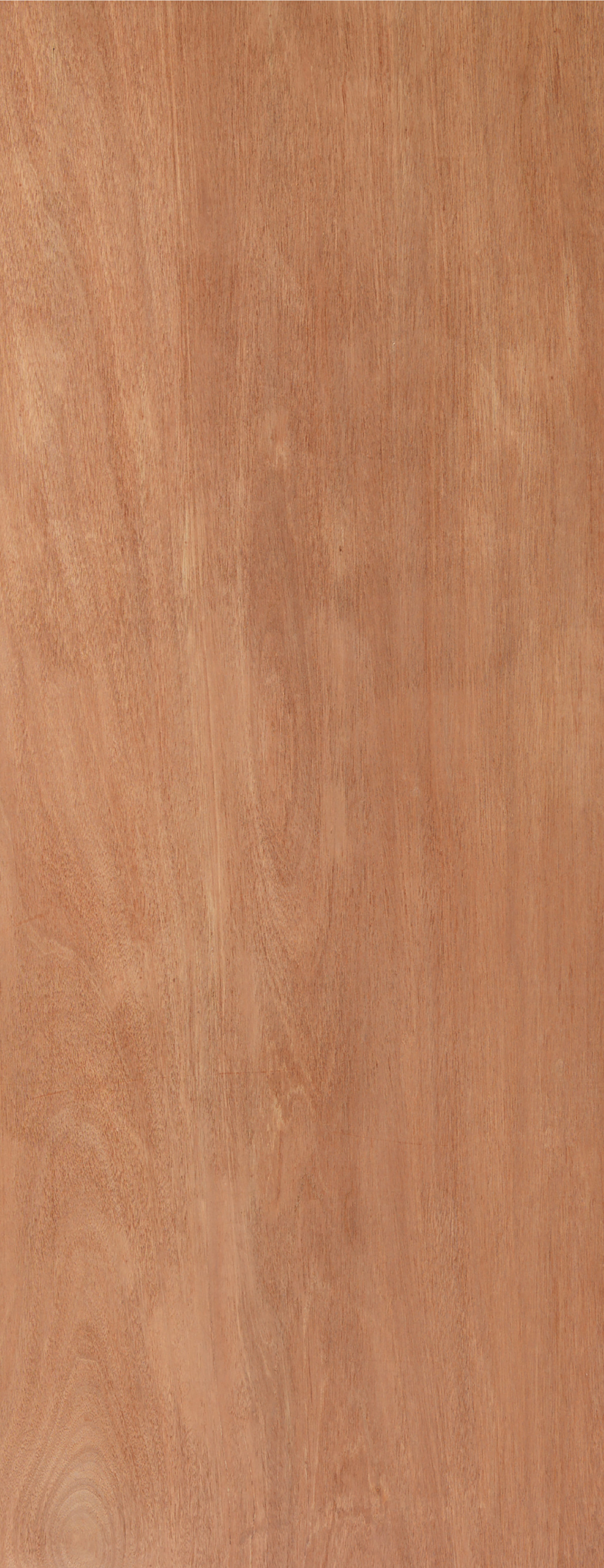 1981 x 686 x 44mm Paint Grade Ply Fire Door by Jeld-Wen