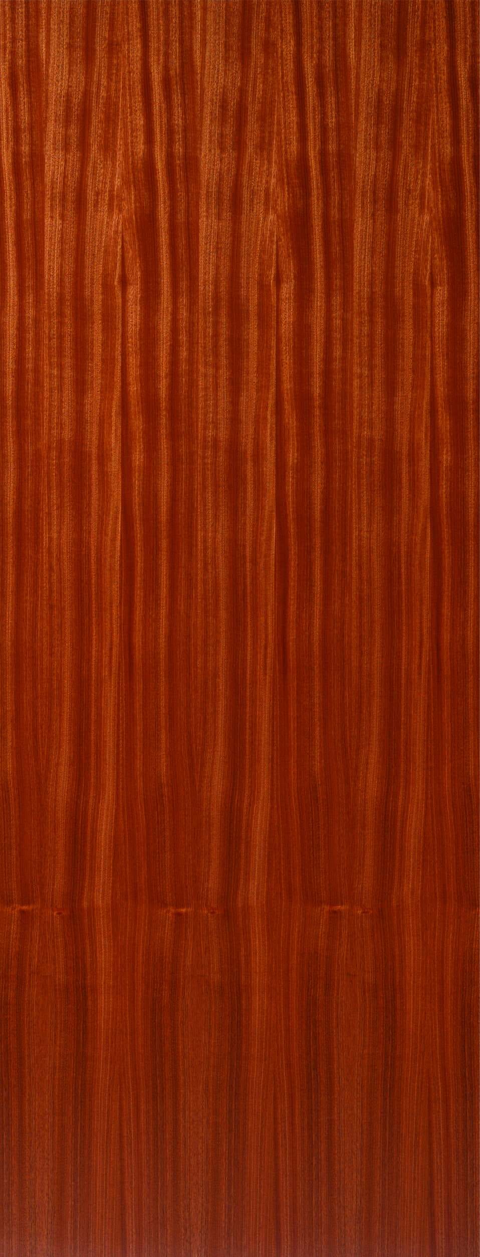 Flush Sapele Fire Door Blank by JB Kind