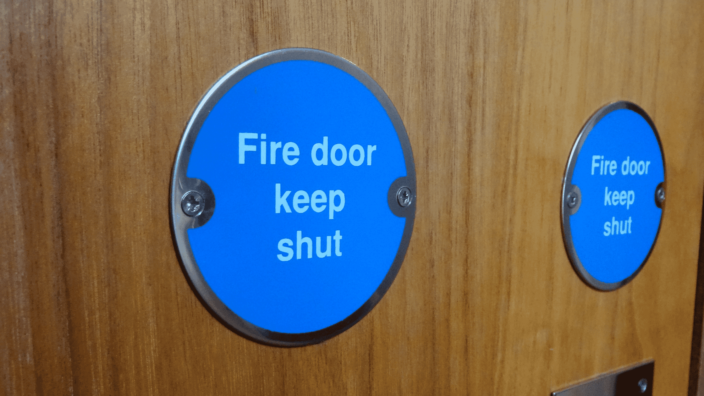 Deanta Fire Doors: All You Need to Know