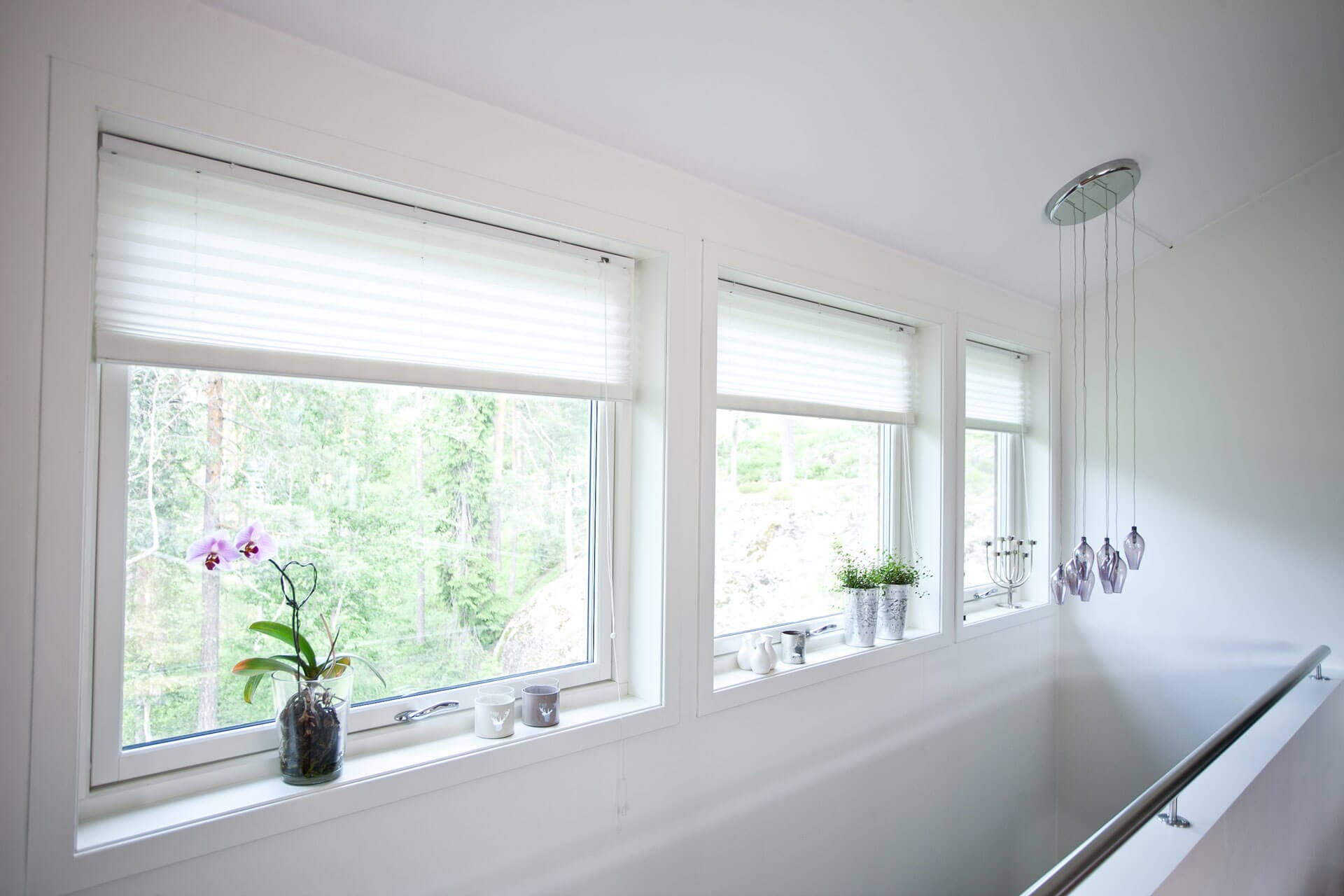 Softwood Windows